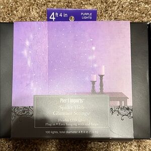Pier 1 Purple Spider Web Glimmer Strings